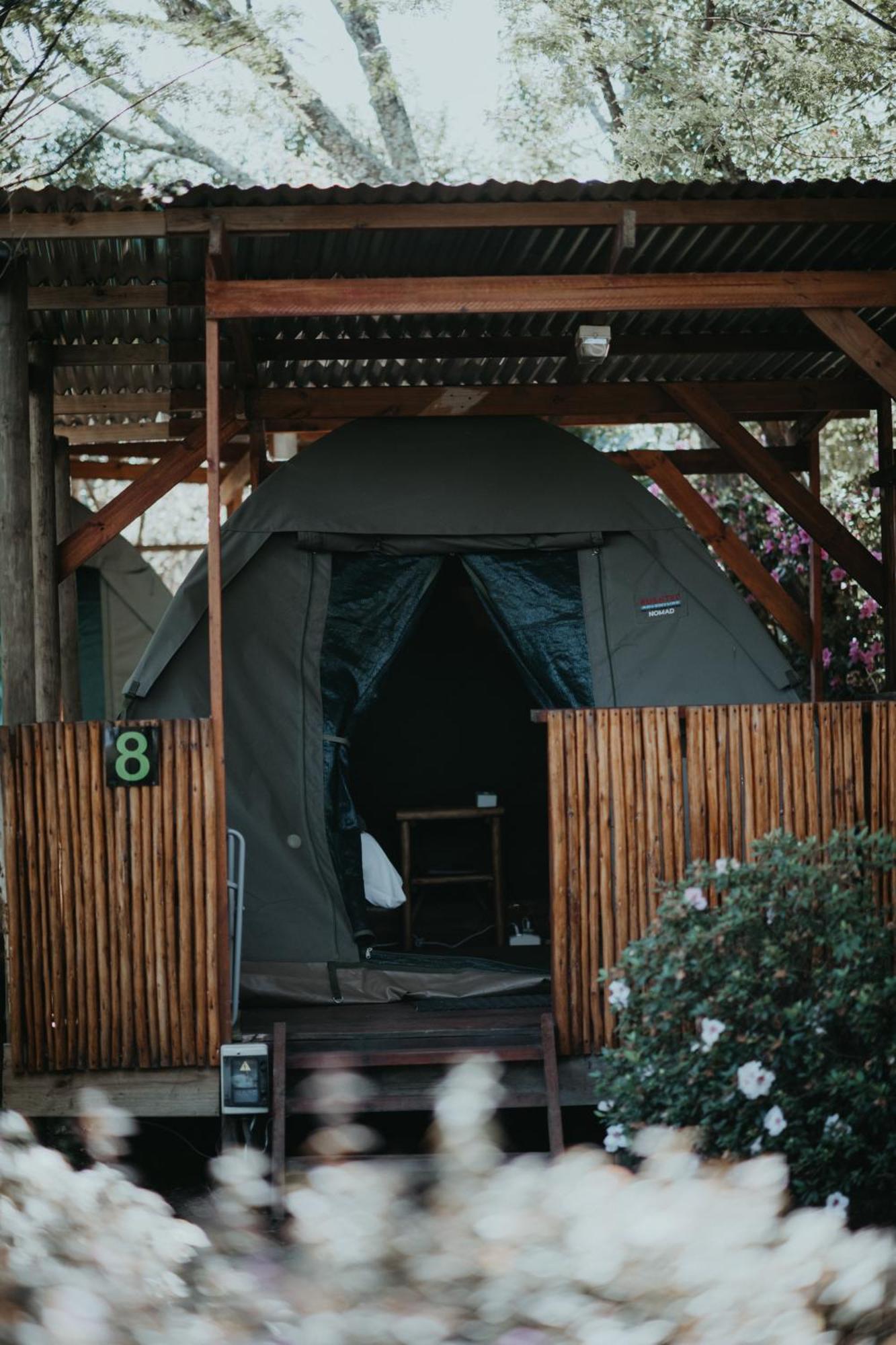 סטורמסריבייר Storms River Forest Lodge מראה חיצוני תמונה