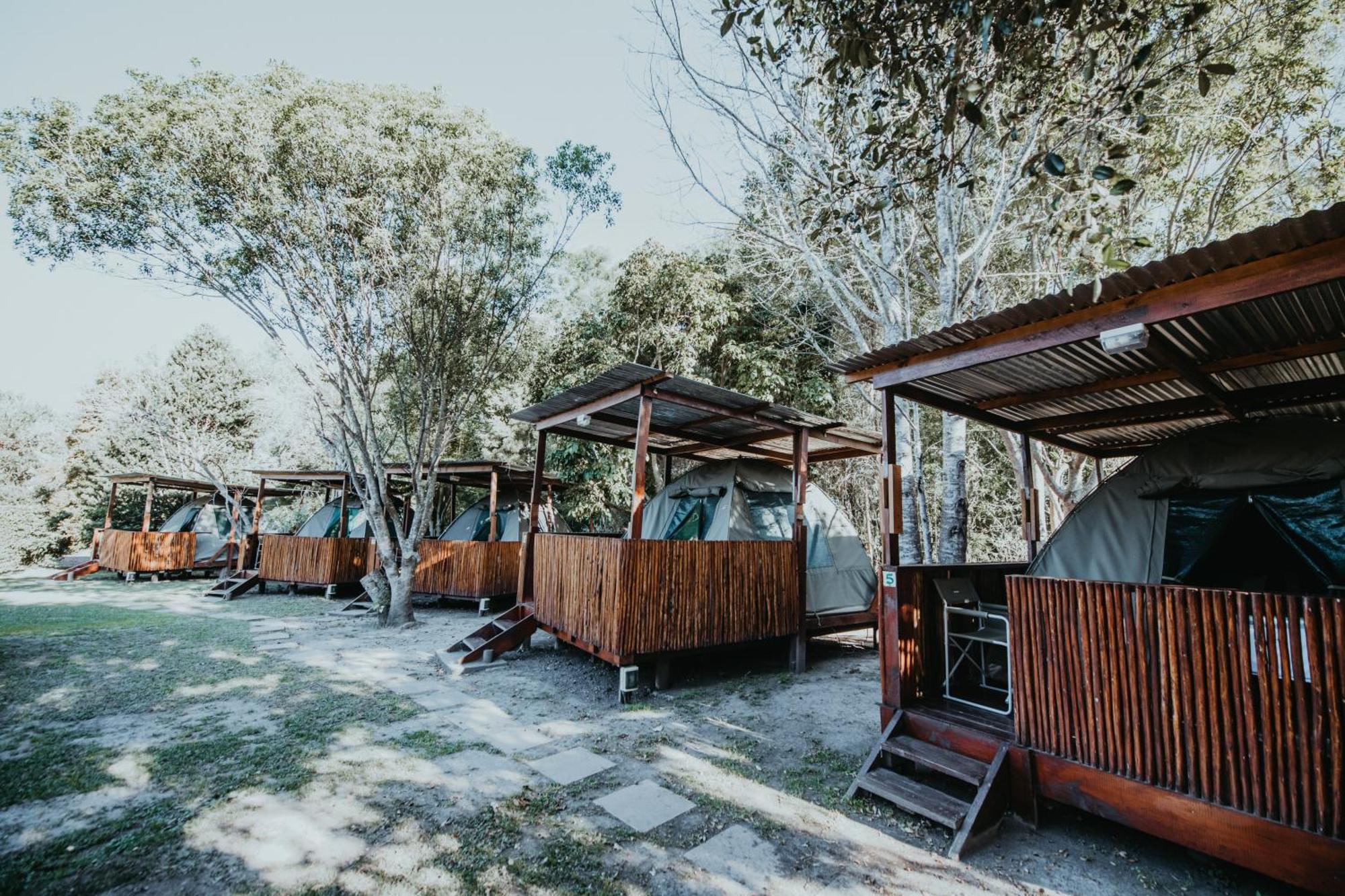 סטורמסריבייר Storms River Forest Lodge מראה חיצוני תמונה