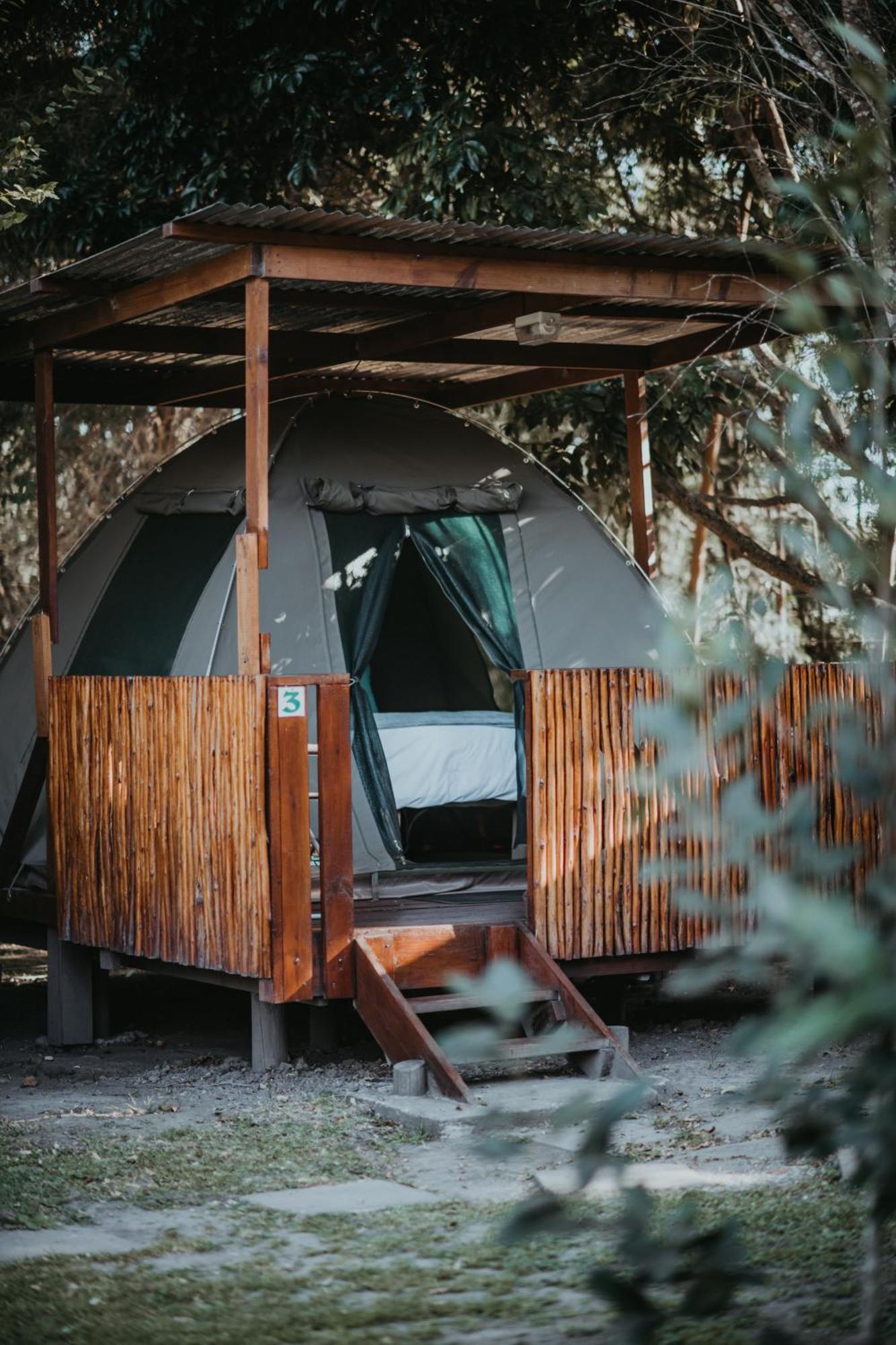 סטורמסריבייר Storms River Forest Lodge מראה חיצוני תמונה