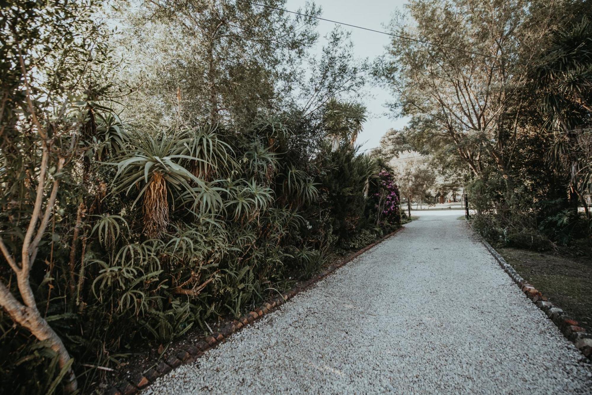 סטורמסריבייר Storms River Forest Lodge מראה חיצוני תמונה