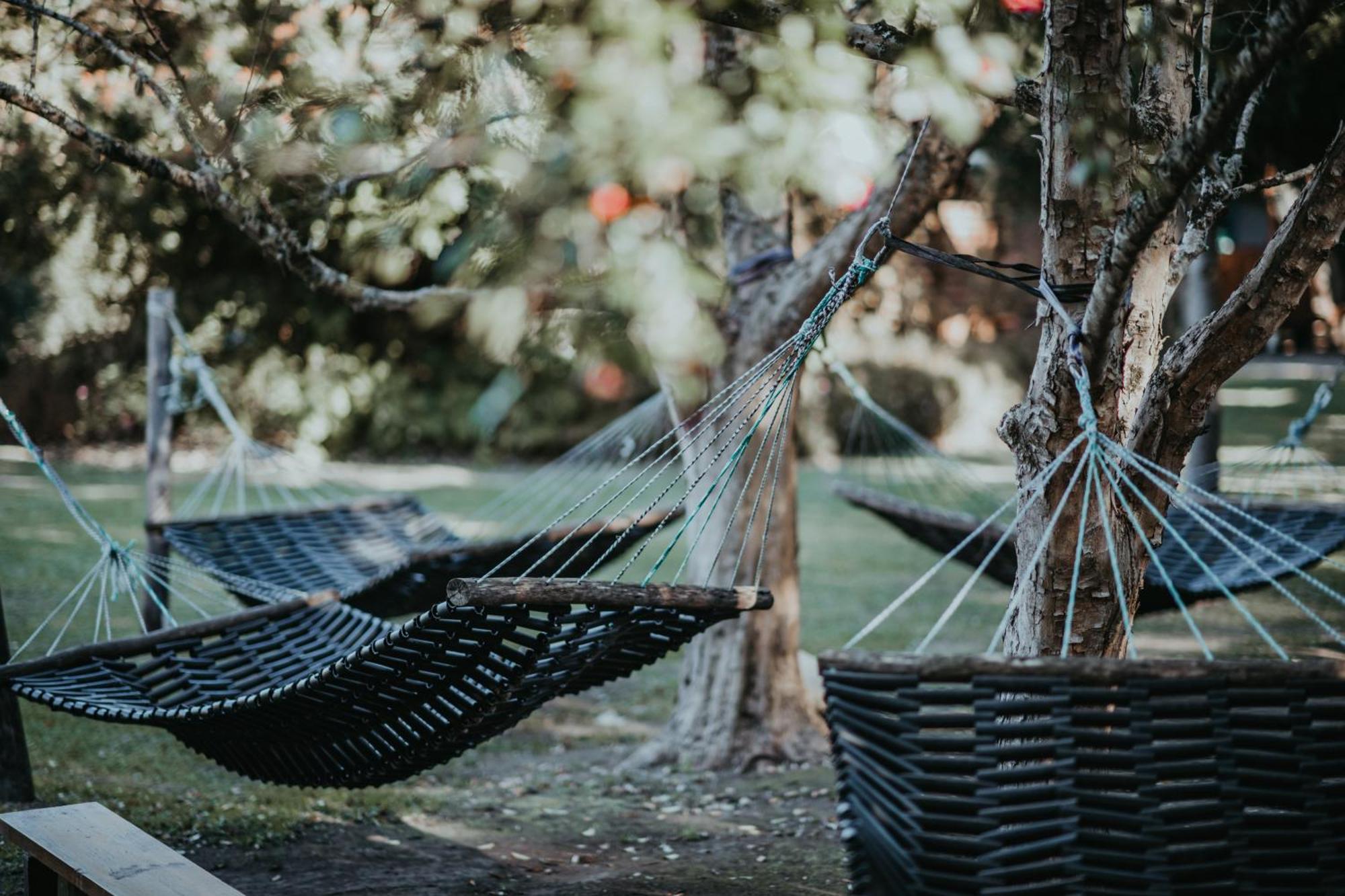סטורמסריבייר Storms River Forest Lodge מראה חיצוני תמונה