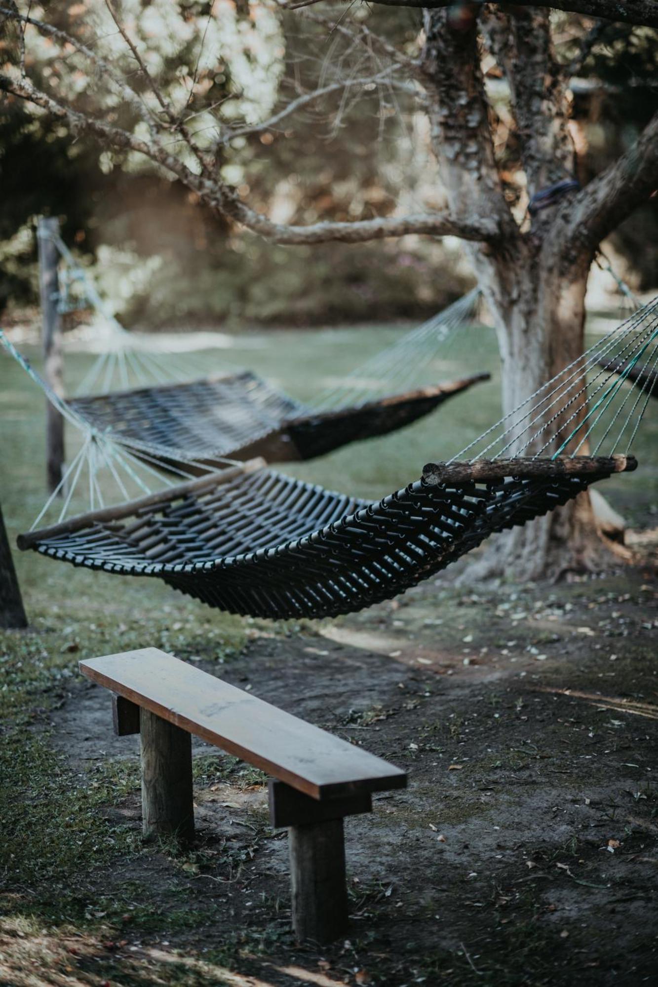 סטורמסריבייר Storms River Forest Lodge מראה חיצוני תמונה