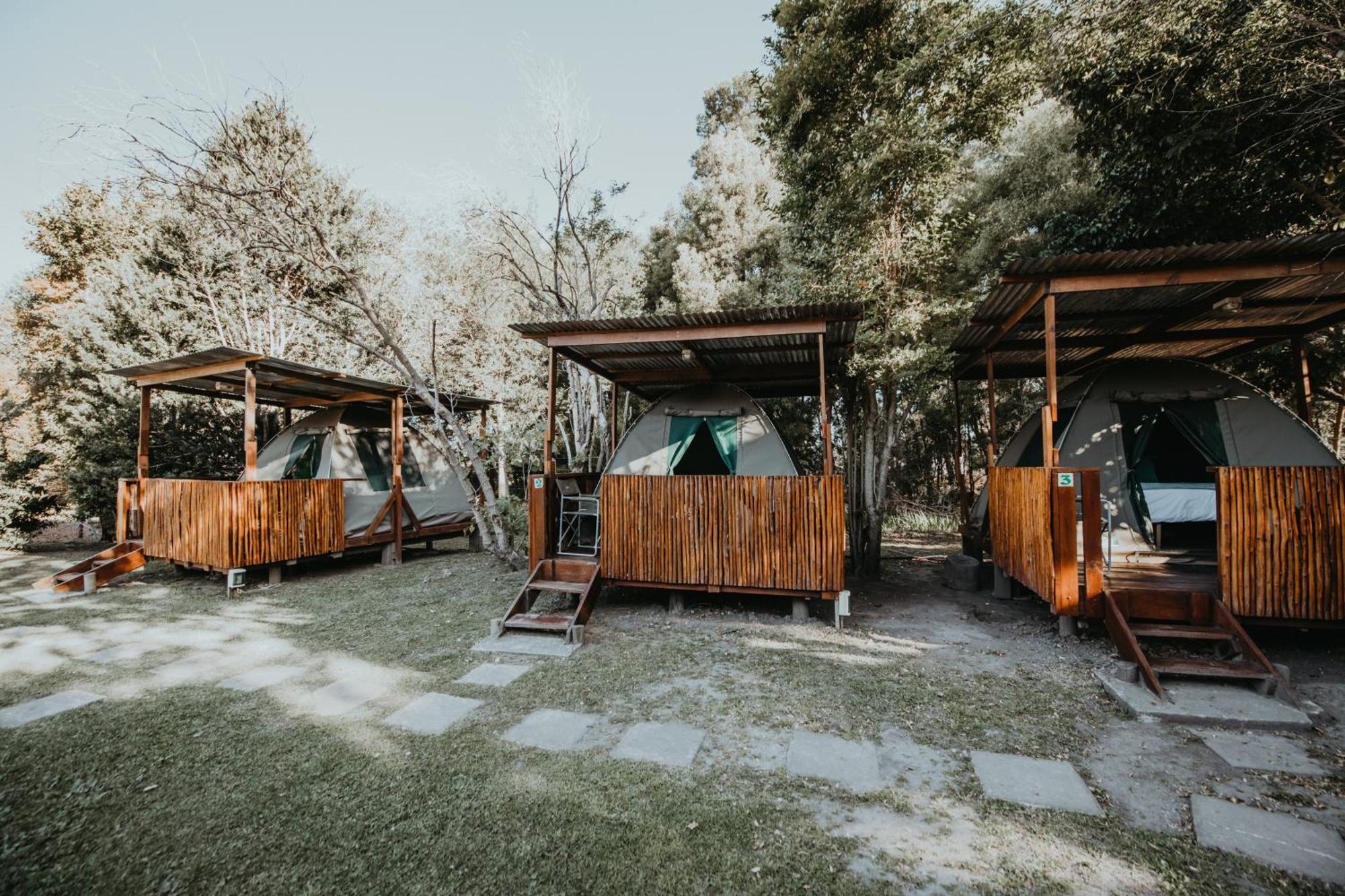 סטורמסריבייר Storms River Forest Lodge מראה חיצוני תמונה