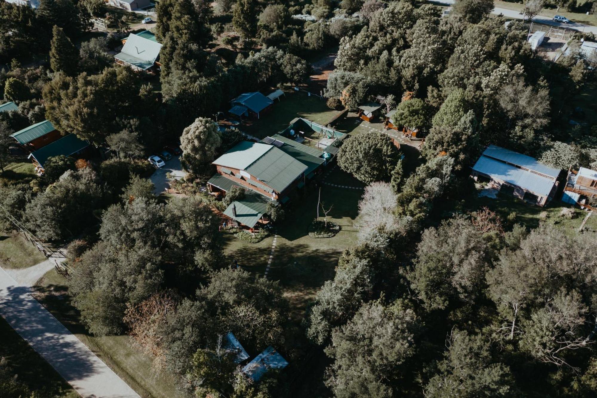 סטורמסריבייר Storms River Forest Lodge מראה חיצוני תמונה