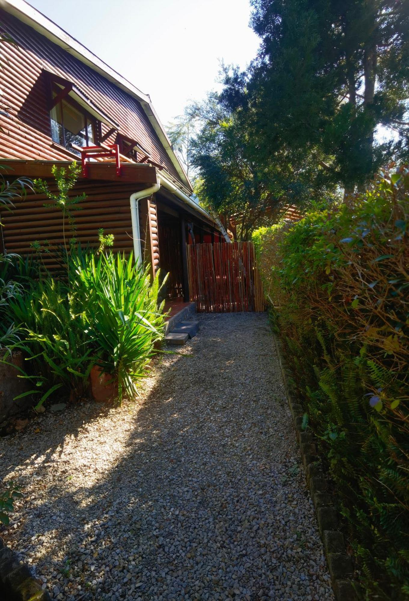 סטורמסריבייר Storms River Forest Lodge מראה חיצוני תמונה